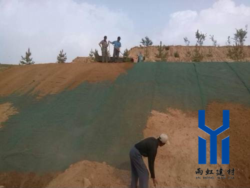 三維植被網http://ibaixi.com/
