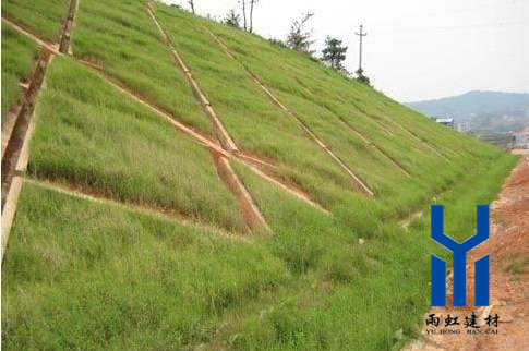 三維植被網http://ibaixi.com/